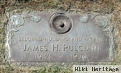 James H. Pulciani