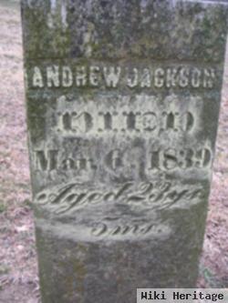 Andrew Jackson