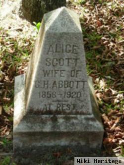 Alice Scott Abbott
