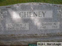 David N. Cheney