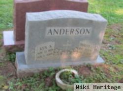 Guy A Anderson