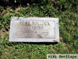 Rose Pollock Evanish