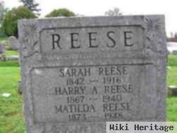 Harry Adam Reese