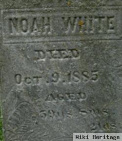 Noah White