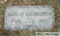 Albert A Carlson