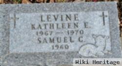 Kathleen E Levine