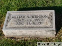 William A Herndon