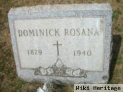 Dominick Rosana