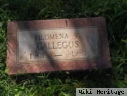 Filomena V Gallegos