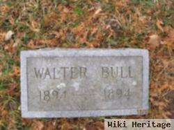 Walter Bull