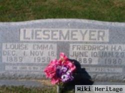 Louise Emma Hempelmann Liesemeyer