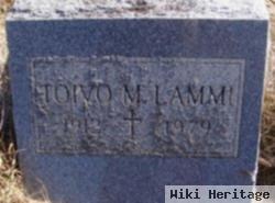 Toivo M Lammi