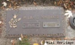 Wilma J Whitaker