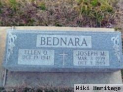 Joseph M Bednara