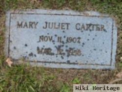 Mary Juliet Carter