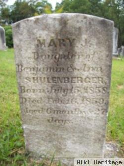 Mary J. Shulenberger