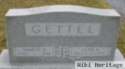 Ammon B Gettel