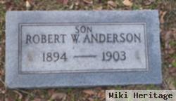 Robert W Anderson