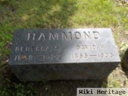 David H Hammond