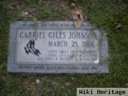 Gabriel Giles Johnson