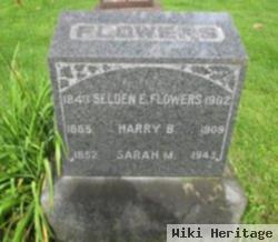 Harry B Flowers