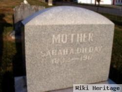 Sarah Ann Hudspeth Dilday