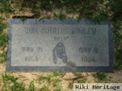 William Martin Bailey