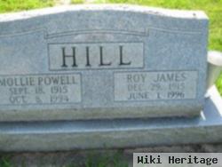 Roy James Hill