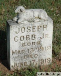 Joseph Cobb, Jr