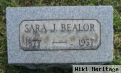 Sara J Bealor