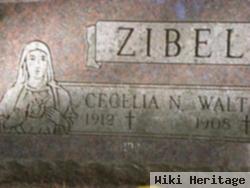 Cecelia N. Albrecht Ziebell