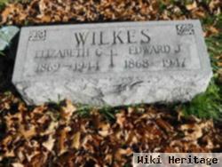 Edward J Wilkes