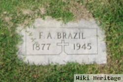 Fred Andrew Brazil