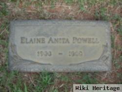 Elaine Anita Powell