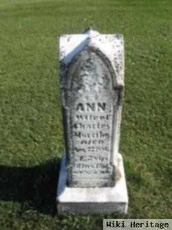 Ann Vincent Mortiboy