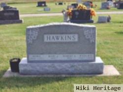 Robert L Hawkins