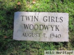 Twin Girls Woodwyk