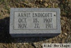 Arnie Endicott