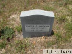 Walter E. Johnson