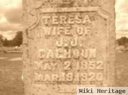 Teresa Ann Williamson Calhoun