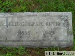 George G. Rippey