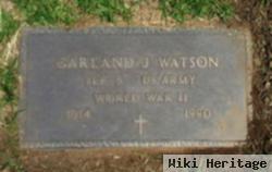 Garland J Watson