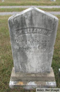 William W Evans