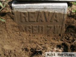 Reava Stuthard