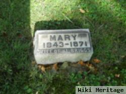 Mary Briggs