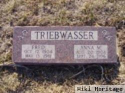 Alfred "fred" Triebwasser