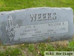 Joy Anna Barnum Weeks