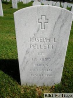 Joseph L Pellett