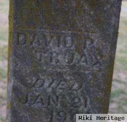 David Palmer Truax