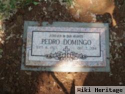 Pedro Domingo